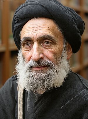 سید محمد مشکات.jpg