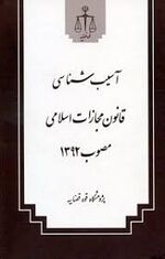 آُسیب شناسی قانون مجازات اسلامی مصوب 1392 توجهی.jpg